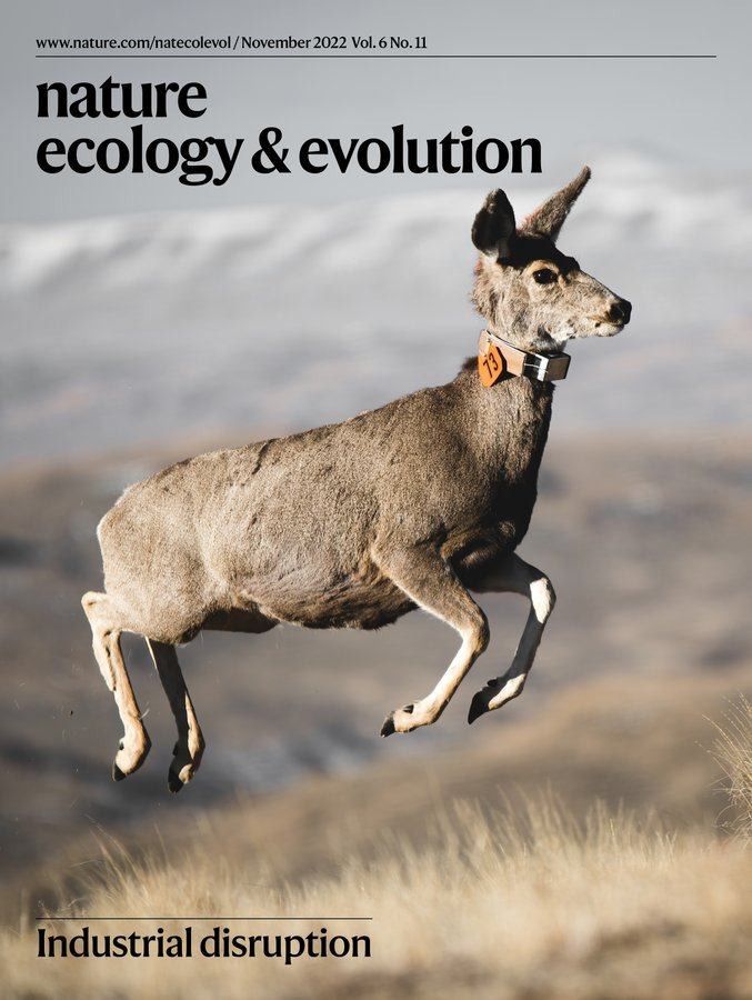 The November issue from our friends <a href="/NatureEcoEvo/">NatureEcoEvo</a> 🍂🦌

nature.com/natecolevol