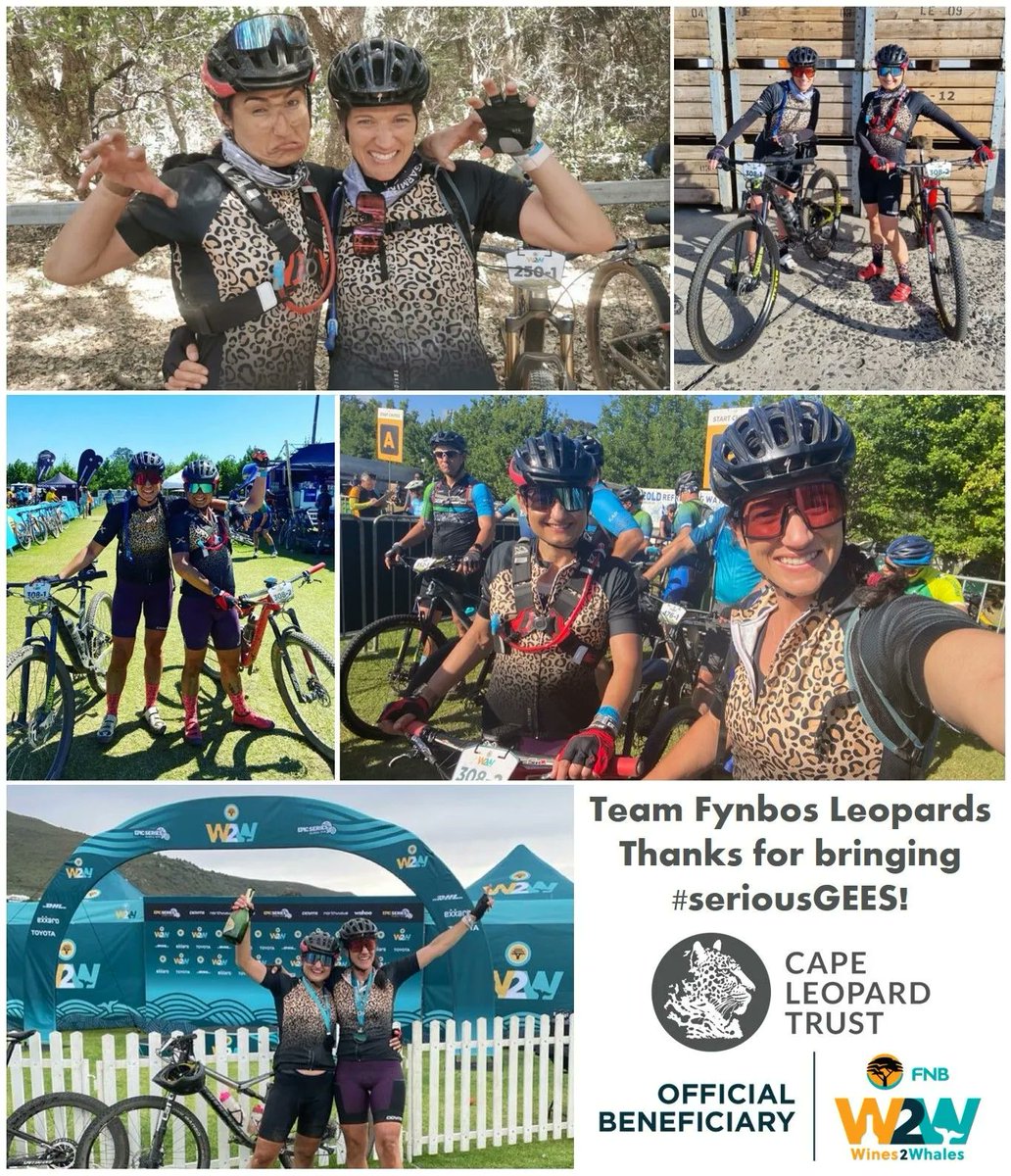 #MTBMonday ~ Big shout out today to team Fynbos Leopards for successfully completing the FNB <a href="/w2wmtb/">w2wmtb</a> &amp;for bringing some leopard spots &amp; #seriousGEES! Please support their fundraising effort on GivenGain –all funds come directly to the <a href="/Cape_Leopard/">Fynbos Leopard</a> Trust 
givengain.com/ap/nastassha-k…