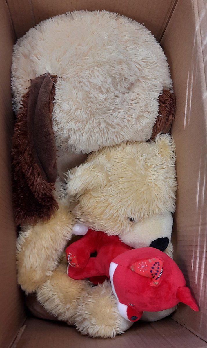 Laurent Valden Pro tweet media