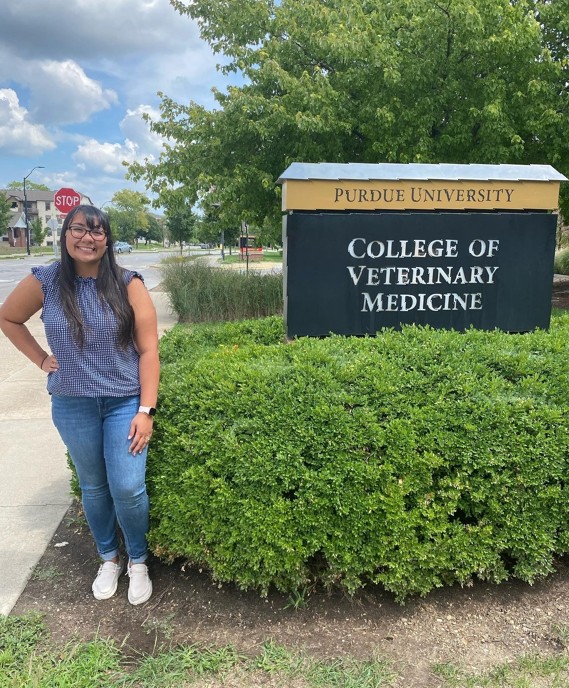 Tweet by Purdue Veterinary Medicine