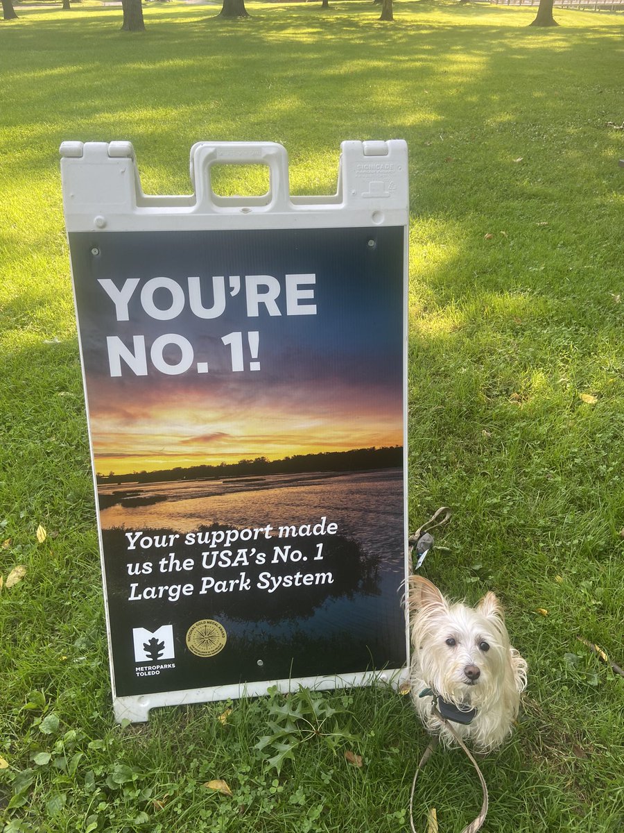 NVRoadgeek's tweet image. Visited two Toledo, Ohio metroparks - Side Cut and Wildwood Preserve. Great opportunities for families, communities and healthy lives. @MyMetroparks #community