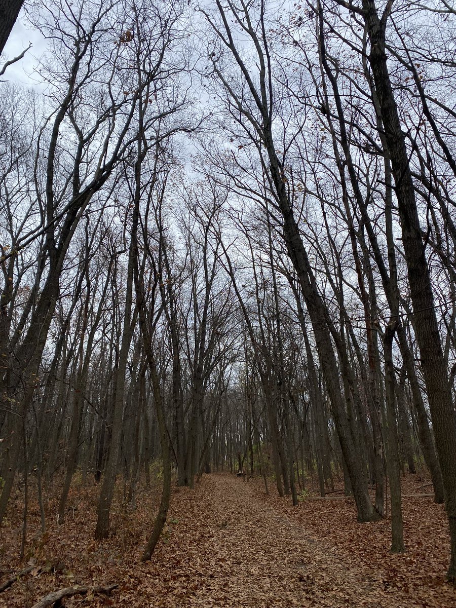 NVRoadgeek's tweet image. Visited two Toledo, Ohio metroparks - Side Cut and Wildwood Preserve. Great opportunities for families, communities and healthy lives. @MyMetroparks #community
