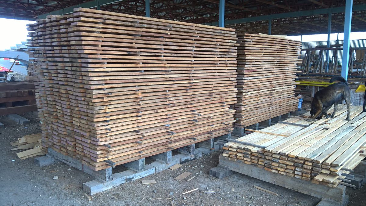 Timeless_Timber's tweet photo. Taking zero chances at quality control. Though putting in much work and time today, our QC top dog still has a spare minute or two to clear orders.
#NoCrankyCoWorkersHere https://t.co/DrgLfd49u5