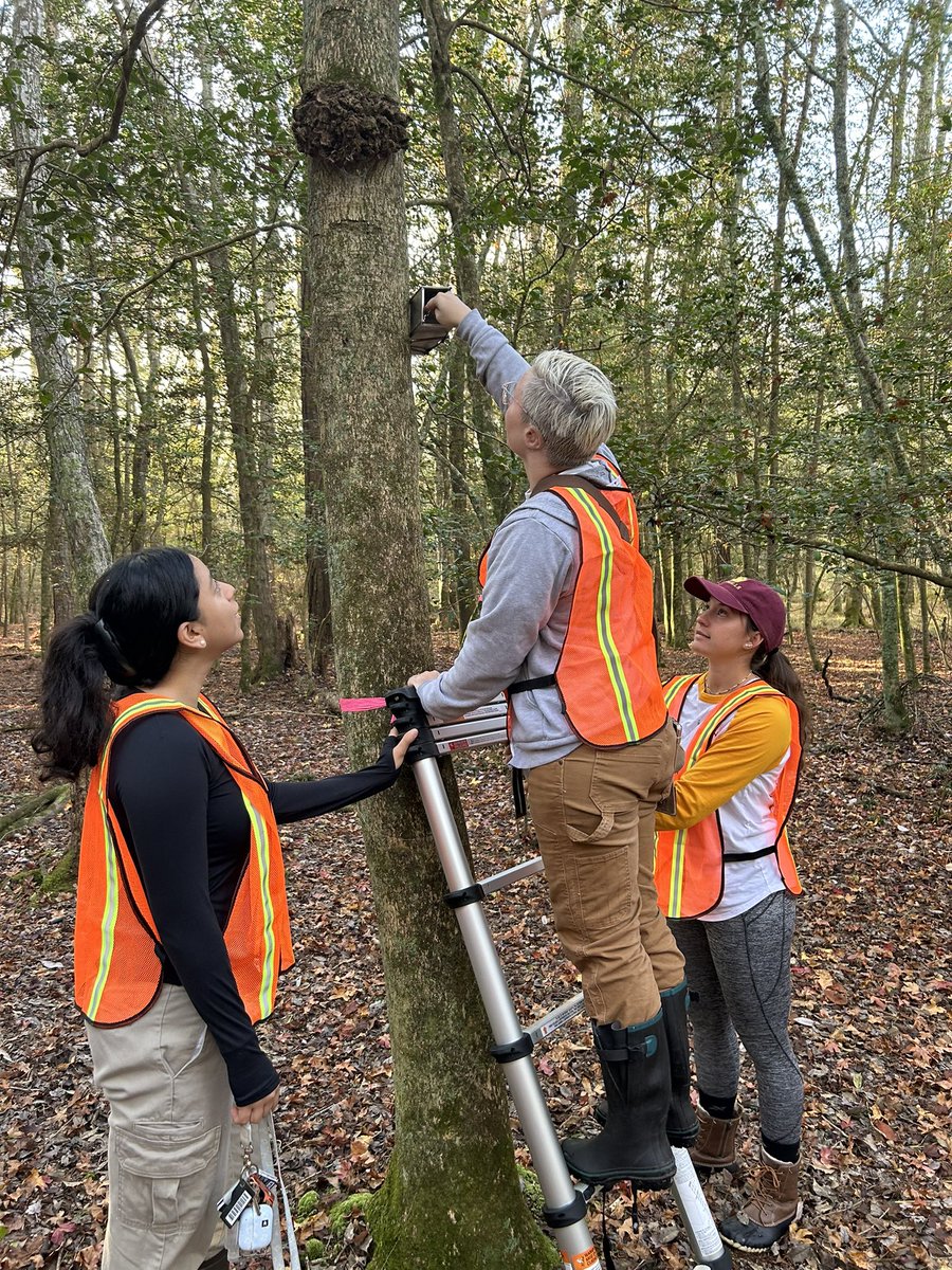 SU Flying Squirrel Lab tweet media