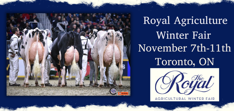 Cowsmo is on the road to the Royal! - mailchi.mp/c9acbdc58de2/n…