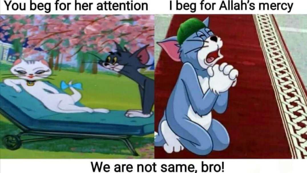 Halaal Memer On Twitter https t co OOqnreCCSn Twitter halaal-memer-on-twitter-https-t-co-ooqnreccsn-twitter
