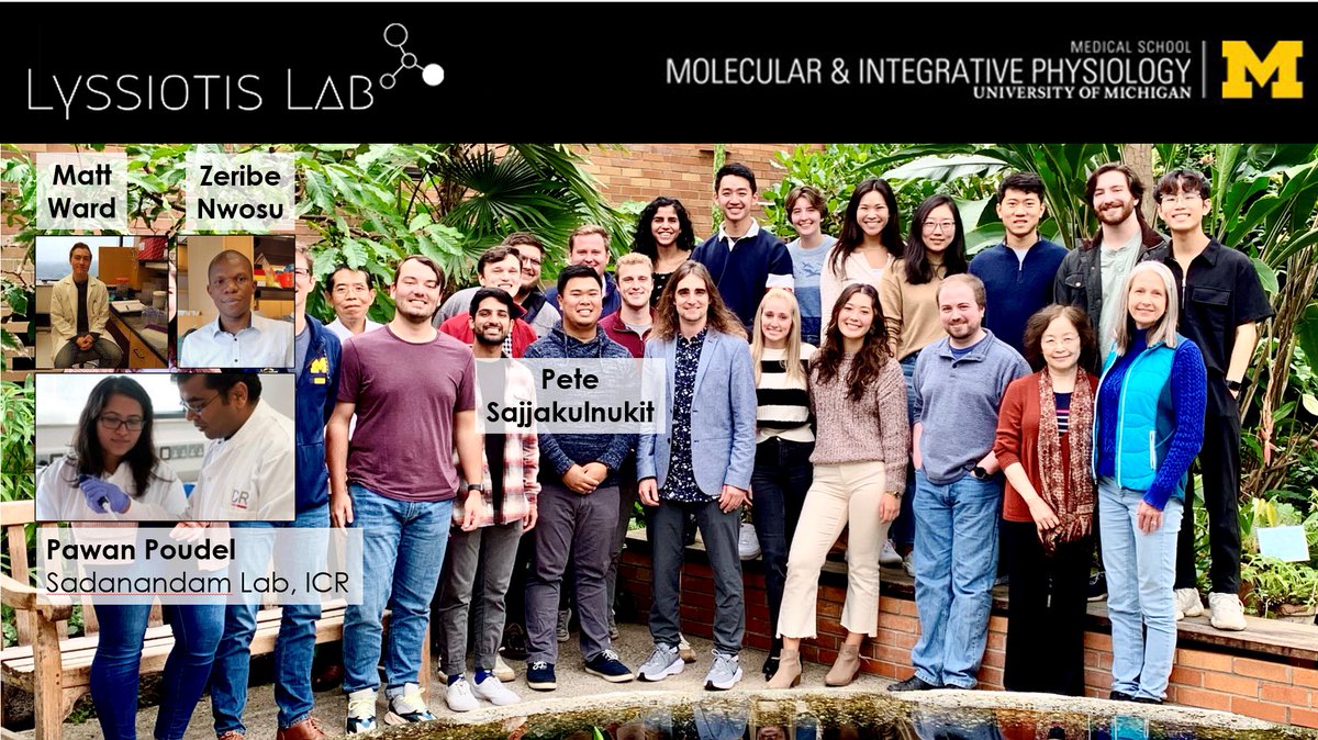 LyssiotisLab's tweet image. Appreciate the opportunity to present new work from the group @apapancreas #APA2022 🙏🏼

@KenOliveLab #interpretivedance