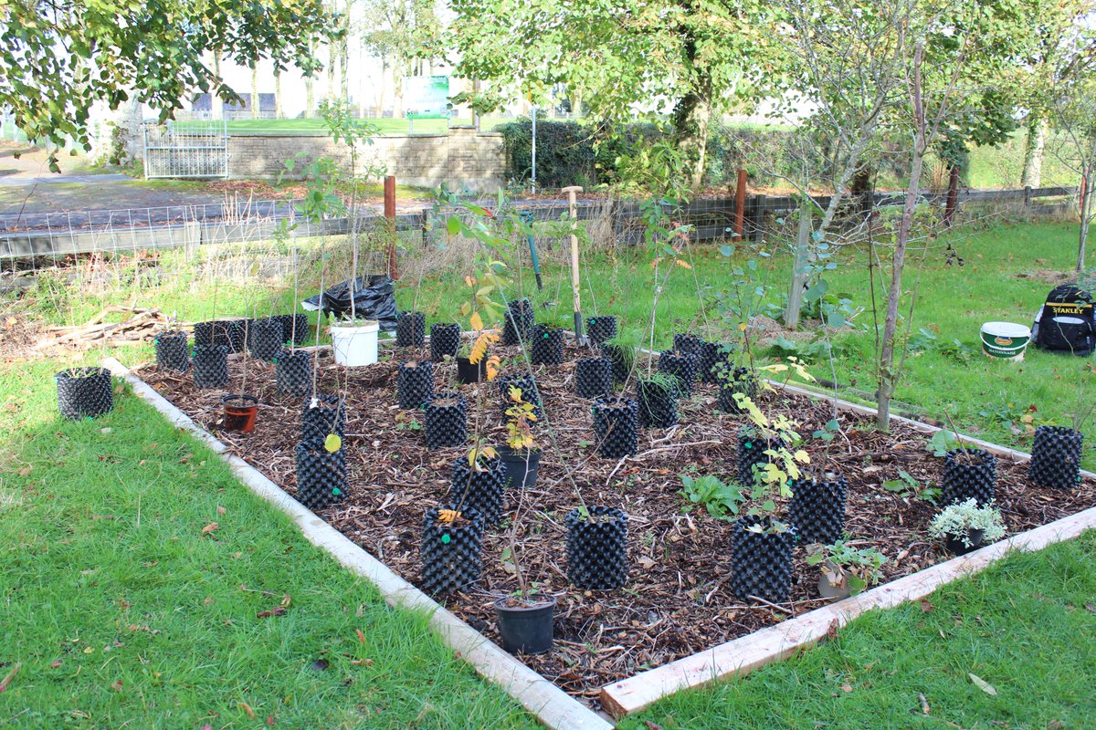 Native Woodland Trust tweet media