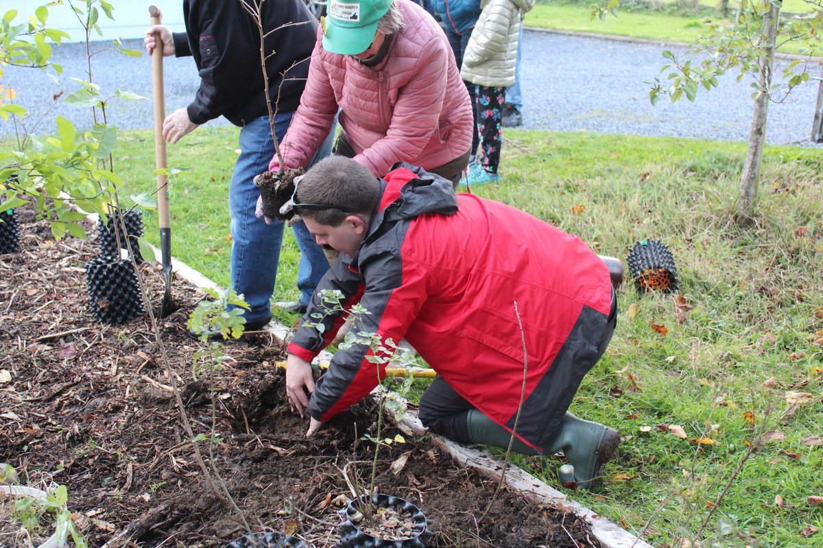 Native Woodland Trust tweet media
