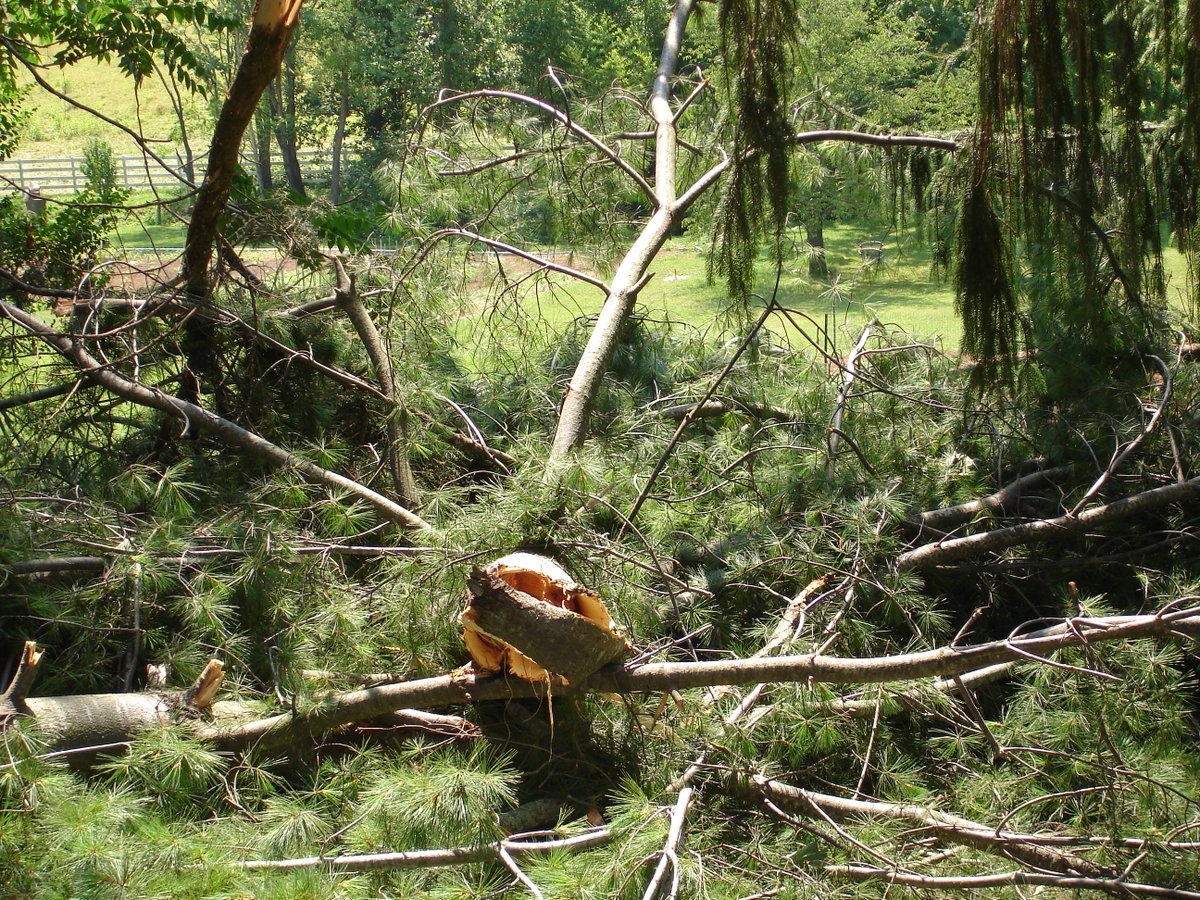 One of the scenes of the vast destruction of a Derecho that hit us in 2012. https://t.co/l8lvAaYOBp