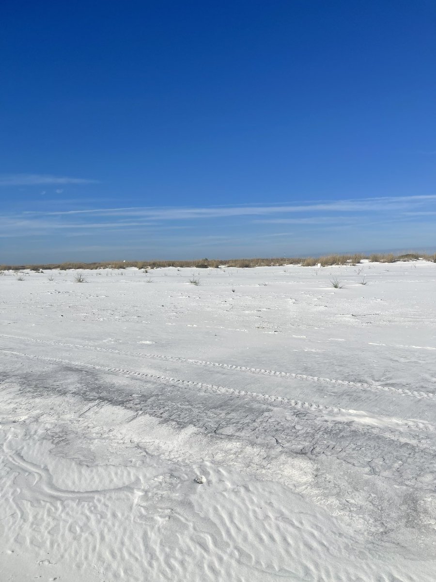 The white soft sands of a southern Florida beach does the mind, body and soul wonders.
