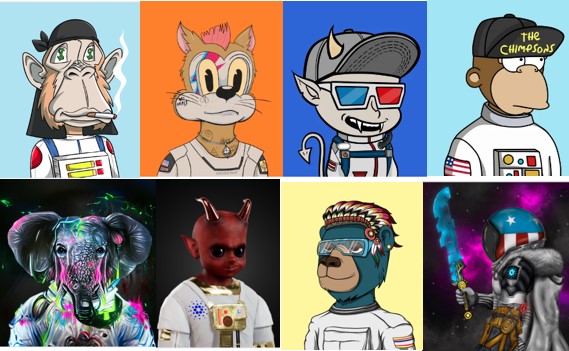 Just a few of my Astronauts!! From <a href="/Ape_NationNFT/">Ape Nation</a>, <a href="/DegenToonz/">Degen Toonz</a> , <a href="/LilHottiesNFT/">Lil Hotties</a> , <a href="/The_Chimpsons/">The Chimpsons</a> , <a href="/safarisquadnft/">Safari Squad</a> , @NFDevils , <a href="/averagebearsnft/">Average Bears</a> , <a href="/The_MBSociety/">Moonboy Society👨‍🚀✨</a> , my <a href="/Moonimals/">Moonimals 🧪</a> is out for Mutation! Just keeps growing!