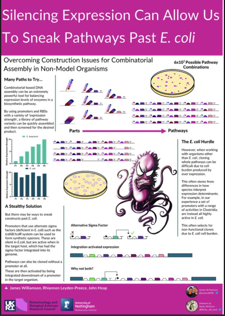 Took a lot of inspiration from #betterposter for my @sbuk2022 poster. If you’re around come and have a chat with me this afternoon.

Big thanks to 
@Nicky_lab_brat for the art! #biochemevent