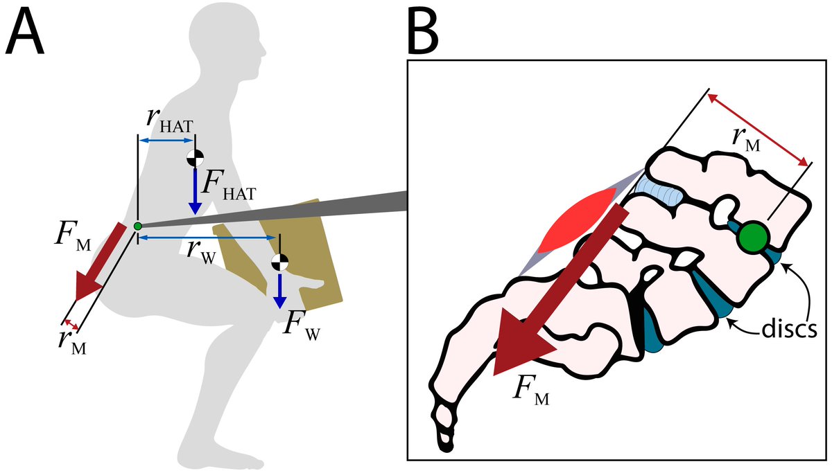 Karl Zelik tweet media
