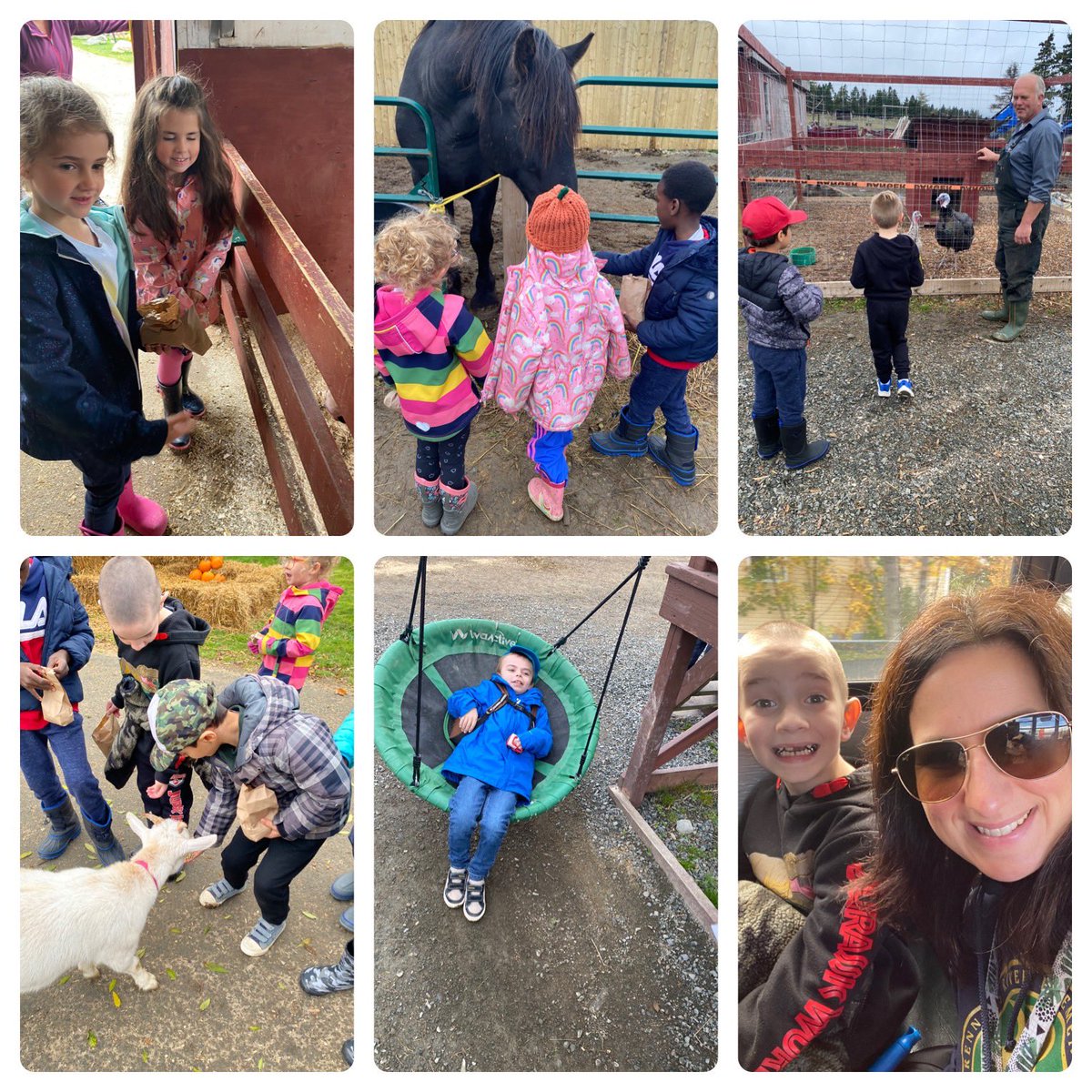 Ms. Hickey tweet media