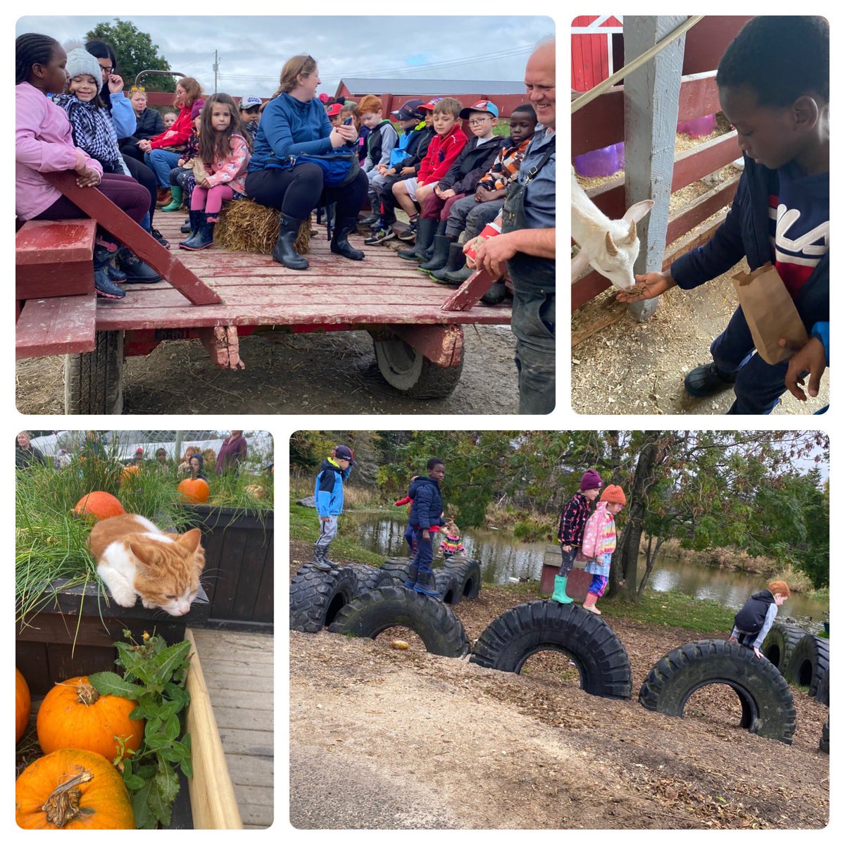 We had the BEST day exploring Lester’s Farm Chalet! 🐐🦆🐷🐰🐓🚜 <a href="/RenniesRiver/">Rennie's River Elem</a>  <a href="/msjcthomas/">Jennifer Thomas</a>