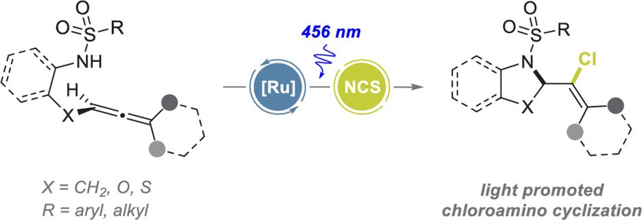 Check out how NCS and blue light provide #chlorocyclization of allenes to afford (chlorovinyl)pyrrolidines. New in #JOC by @AD_Laboratory pubs.acs.org/doi/10.1021/ac…, part of our upcoming Special Issue "Progress in Photocatalysis for Organic Chemistry."