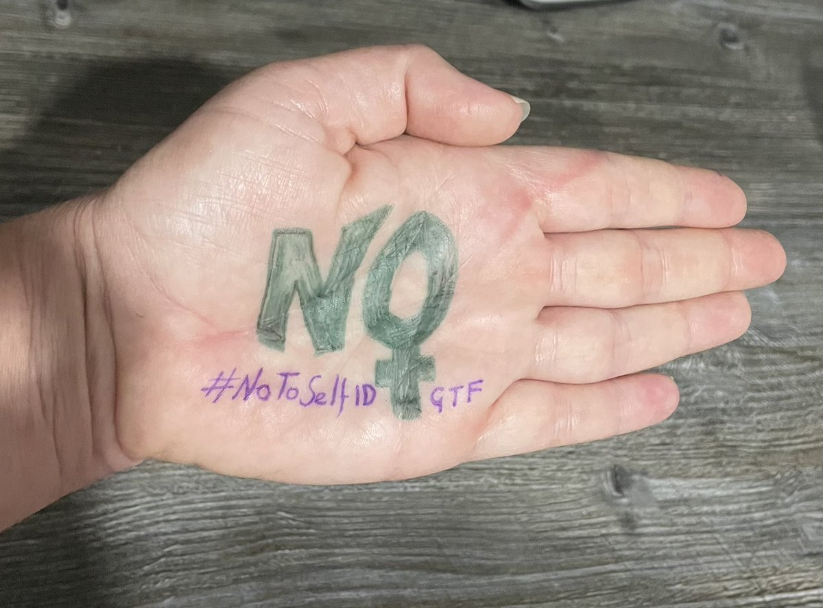 No to self ID No to women being reduced to a set of regressive stereotypes No to young LGB kids being medicalised and mutilated No to males in women’s spaces No to males speaking ‘for women’ No to women being demonised for standing up for women’s rights & safeguarding #ThisIsMyNo