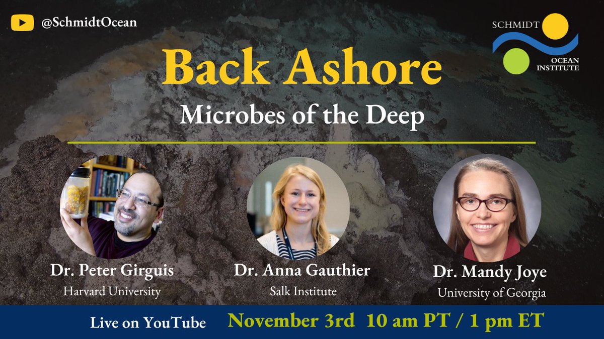 SchmidtOcean's tweet photo. "Back Ashore: Microbes of the Deep" a conversation w/ @RatherLargeNerd, @pgirguis, and @seepexplorer will be on Nov 3
https://t.co/UqD8FLMxVv
Come learn about some of the smallest +most important life in #DeepSea!
#BackAshore #MicrobialMysteries #BackyardDeep #PhoenixIslandsCoral https://t.co/Dxz3OzmSFj