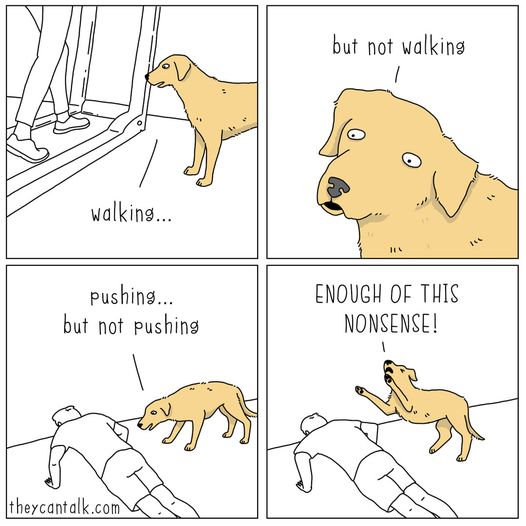 This too much
#beagle #NationalPumpkinDay #PCAs #wednesdaythought