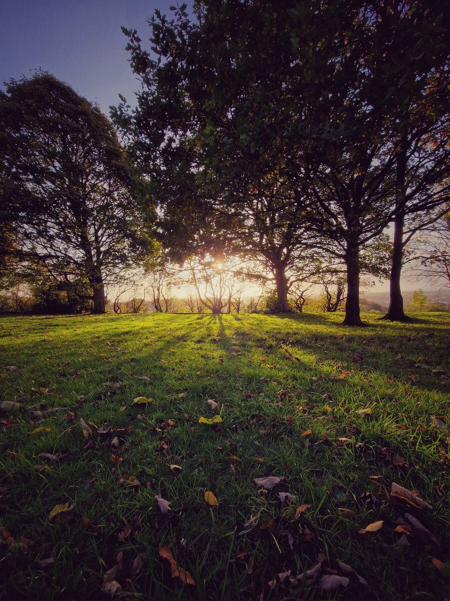 lunopics's tweet photo. The way it glows is so peaceful and beautiful to me..

Settings: 
Shutter speed: 1/60s
Aperture: f5.6
ISO: 720
Focual length: 55mm

#Autumn #AutumnVibes #SamsungS22 #Autumnphoto #photography #NikonD3500 https://t.co/P8CdT0EDFW