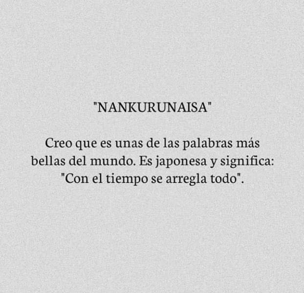 literlandweb1's tweet image. 