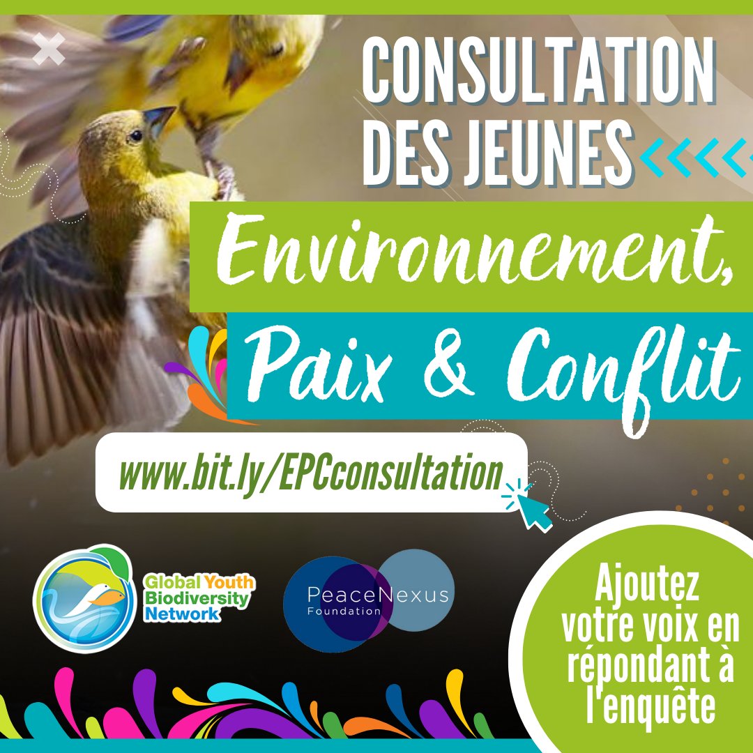 Des millions de #jeunes dans le 🌍 vivent et travaillent dans différentes situations de conflit violent qui ont un impact sur leur espace de travail et souvent sur leur vie quotidienne. Participez et partagez cette enquête avec vos réseaux. Cliquez ici : bit.ly/EPCconsultation