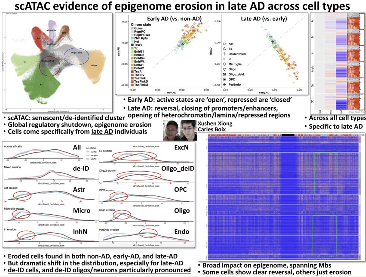 Manolis Kellis (@manoliskellis) on Twitter photo Don't miss our #SingleCell #Epigenomics analysis of #Alzheimers #GWAS and #EpigenomicErosion in late-stage AD by <a href="/Xushen18/">Xushen</a> and <a href="/__ben_james__/">Benjamin James</a> at #ASHG22 starting now PetreeD/West
Abstract: eppro01.ativ.me/web/page.php?p…
Session: eppro01.ativ.me/web/page.php?p…
Slides: dropbox.com/s/g14lkmod7o6b… Don't miss our #SingleCell #Epigenomics analysis of #Alzheimers #GWAS and #EpigenomicErosion in late-stage AD by <a href="/Xushen18/">Xushen</a> and <a href="/__ben_james__/">Benjamin James</a> at #ASHG22 starting now PetreeD/West
Abstract: eppro01.ativ.me/web/page.php?p…
Session: eppro01.ativ.me/web/page.php?p…
Slides: dropbox.com/s/g14lkmod7o6b…