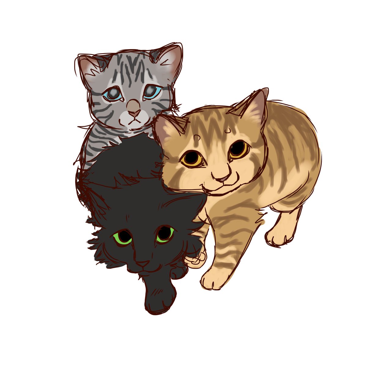 cwiz_art's tweet image. reminded me of them #warriors #warriorcats #jayfeather #lionblaze #hollyleaf