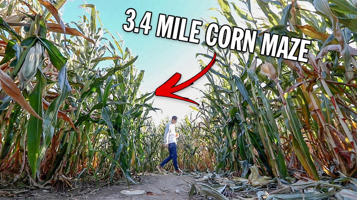 Corey Wagner tweet media