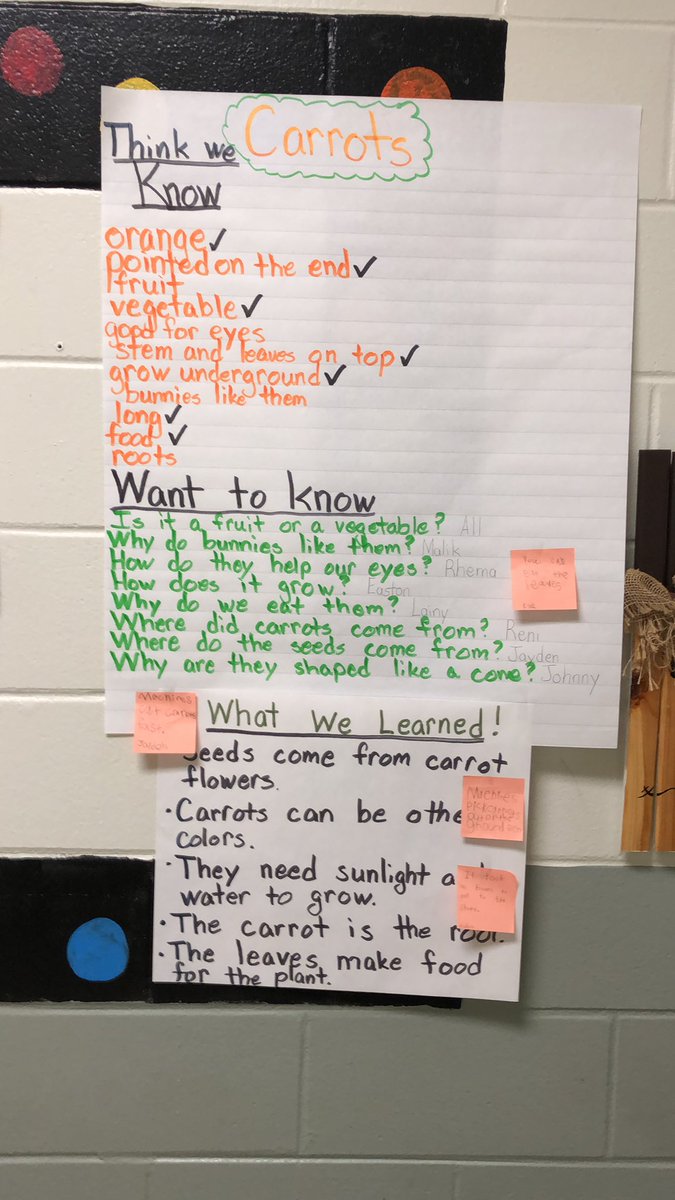 First grade learning about carrots 🥕 <a href="/SPARK_STEM/">SPARK Academy</a> #oneAthens