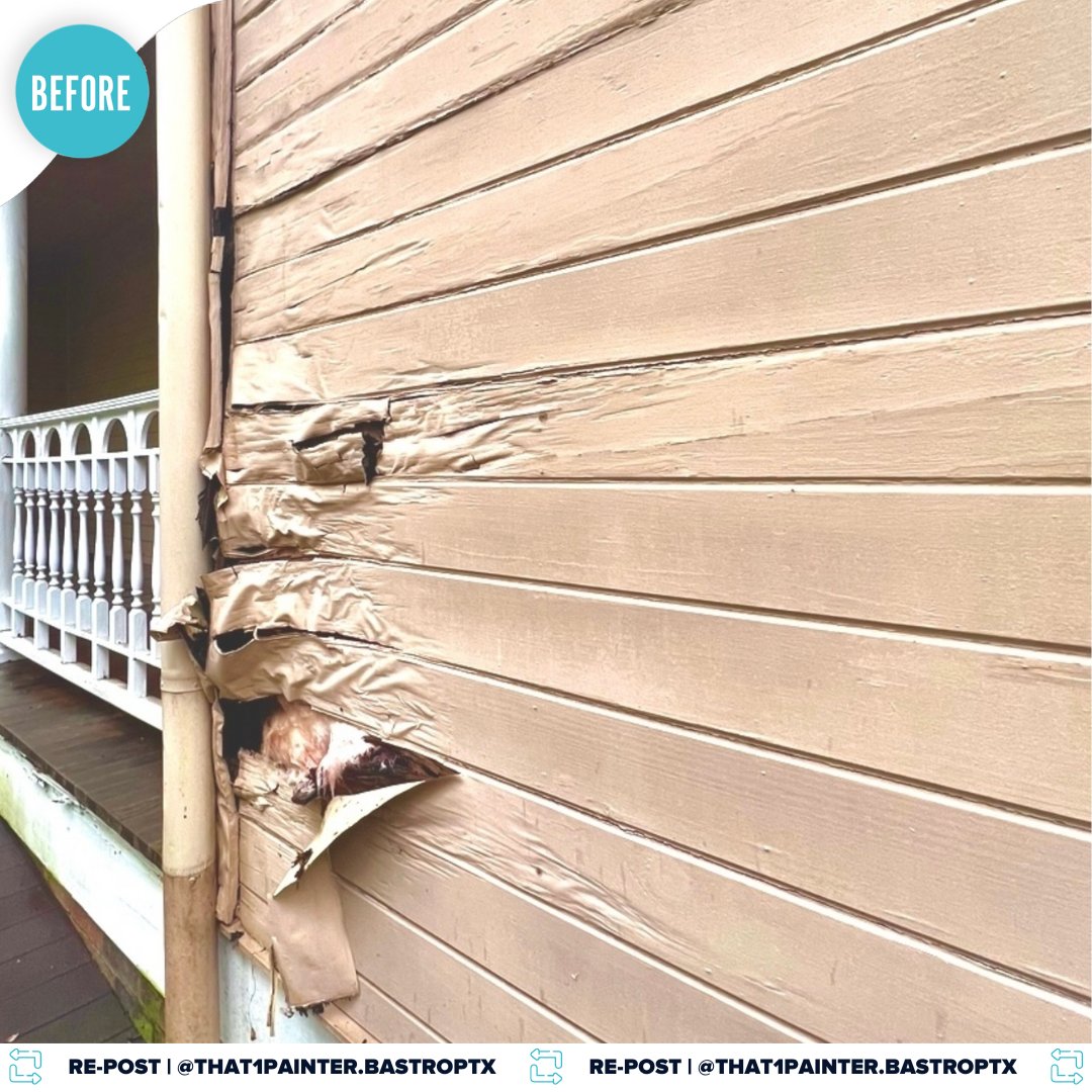 That 1 Painter tweet media