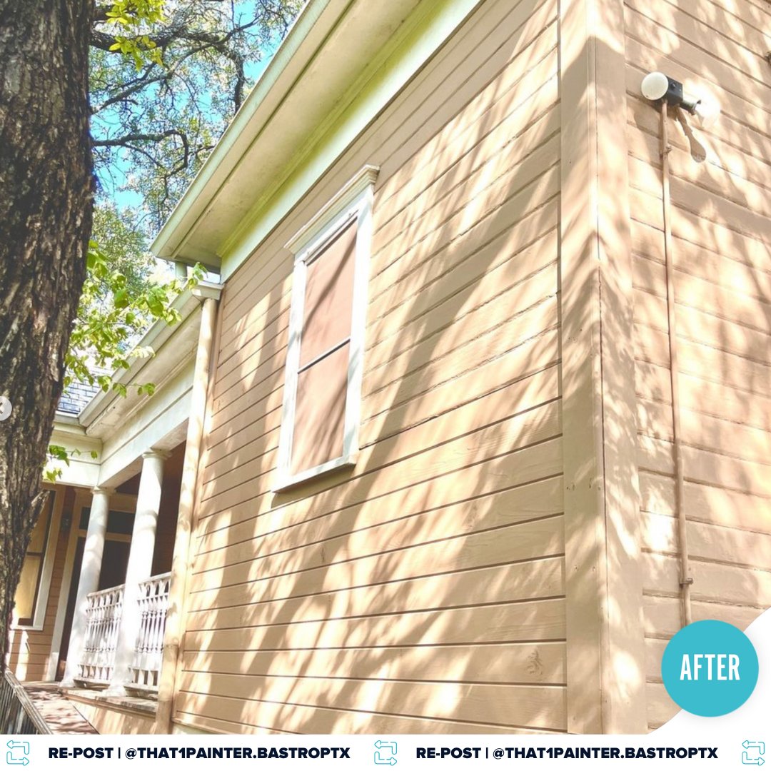 That 1 Painter tweet media