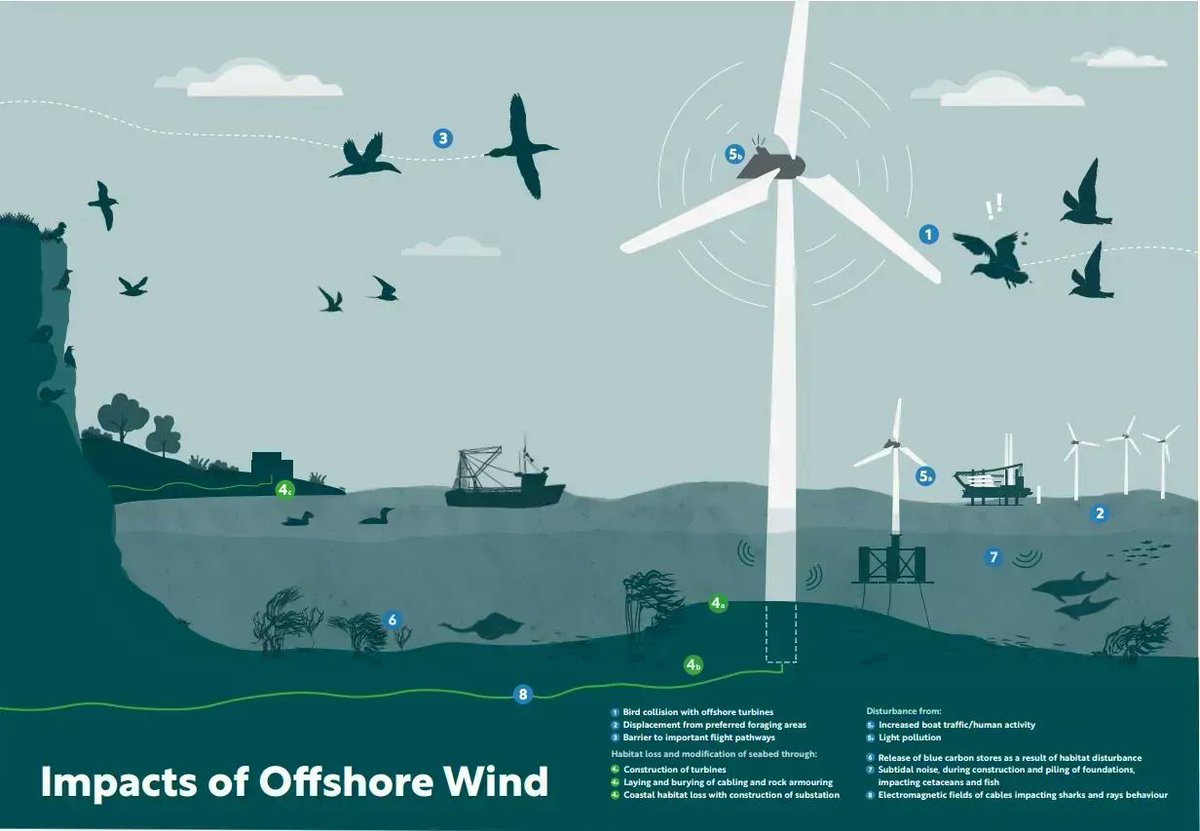 New report, 'Accelerating Nature Positive Offshore Wind' (Royal Society for the Protection of Birds, 2022), is a collaborative effort between industry & conservation groups, explaining the needs to shift to Nature Positive offshore wind. Check it out: buff.ly/3STOwNg