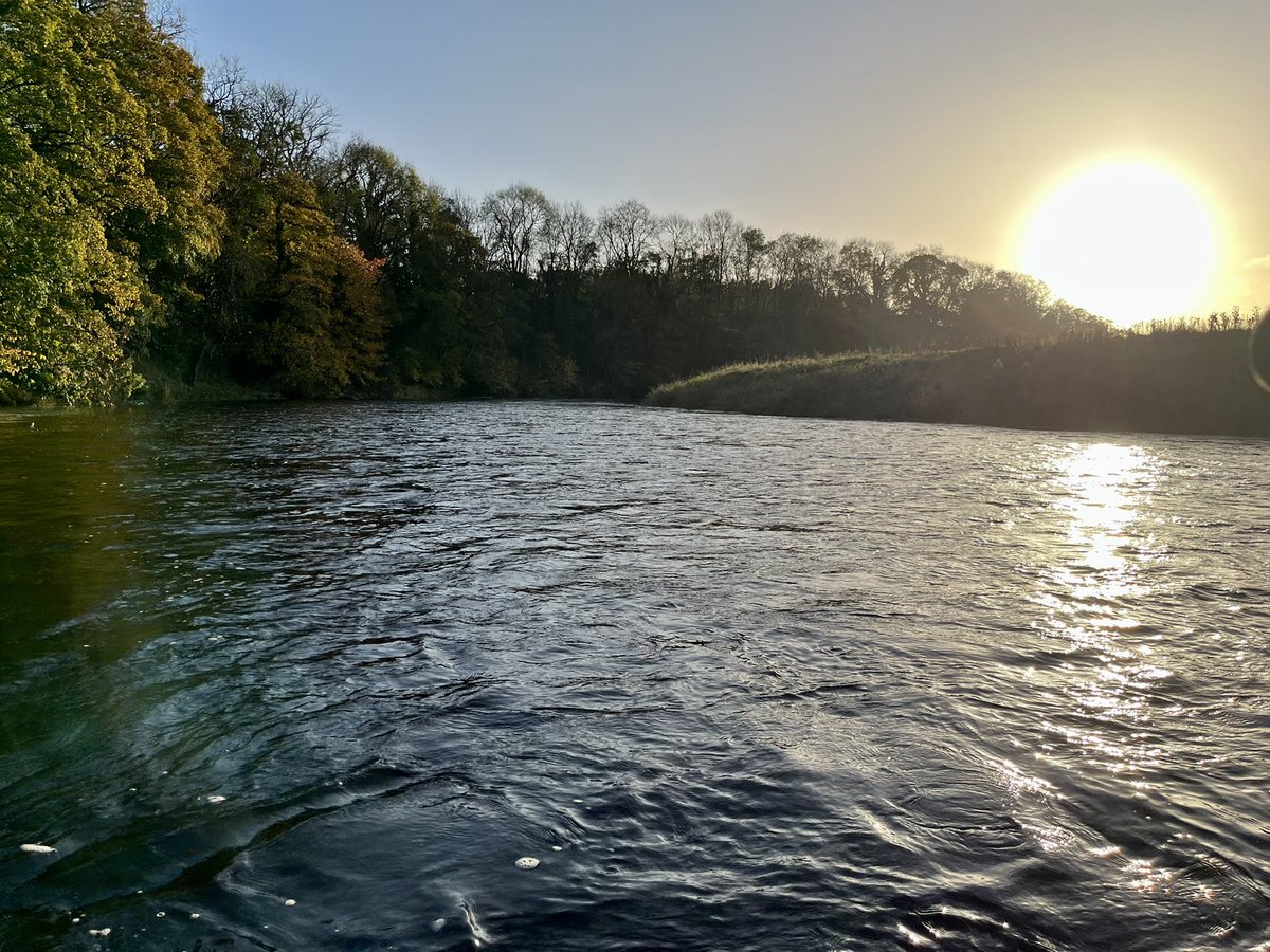 The importance of spending time literally in the environment you work to improve cannot be underestimated.  #rivers #Autumn