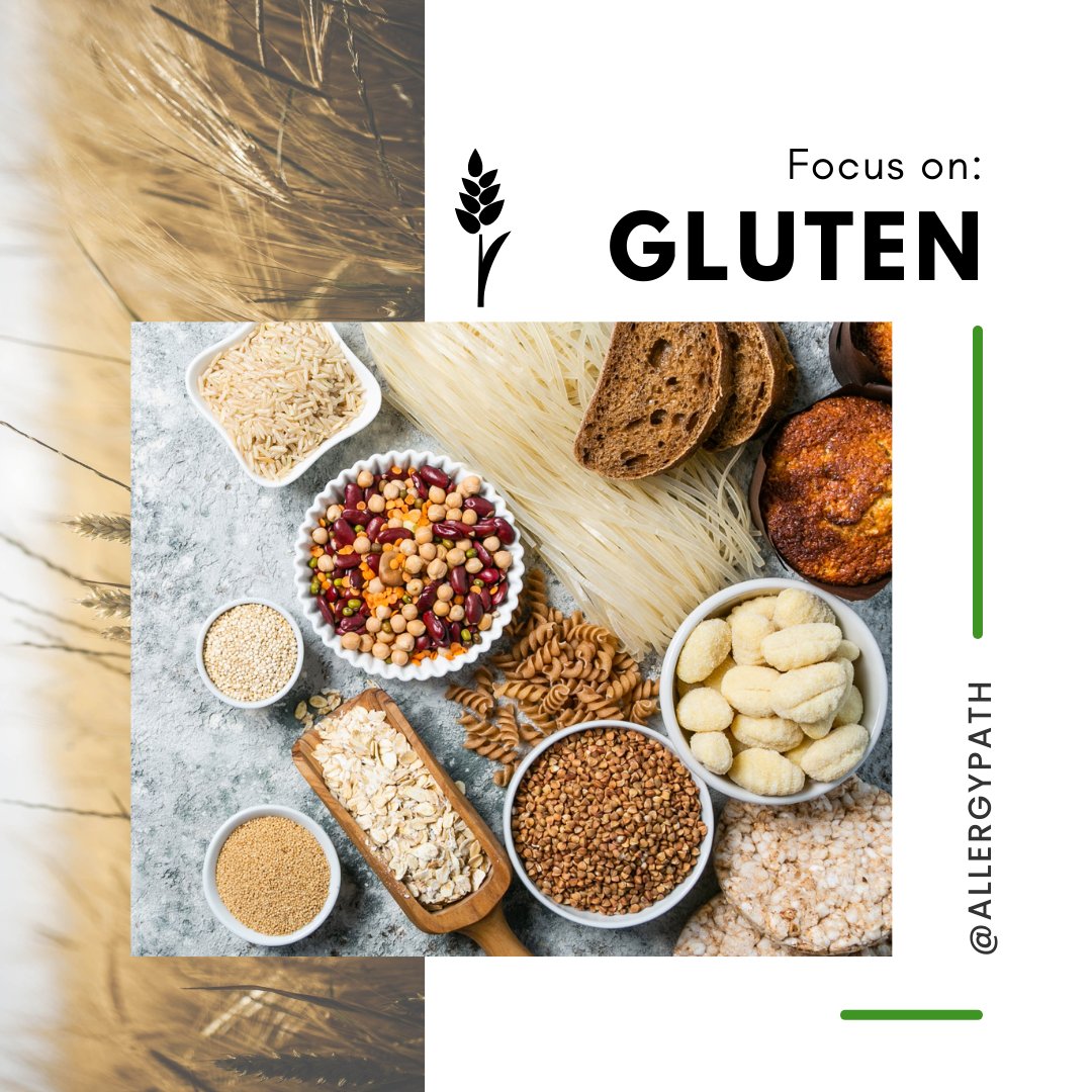Are you living with a #gluten #allergy or #intolerance? 

Head to our site for some delicious #gluten-free products. (Including brownie/fudge mix! 😋)

ecs.page.link/FsqXu

#AllergyPath #FoodAllergies #AllergySupport #AllergyBlogs #AllergyRecipes #AllergySpecialists