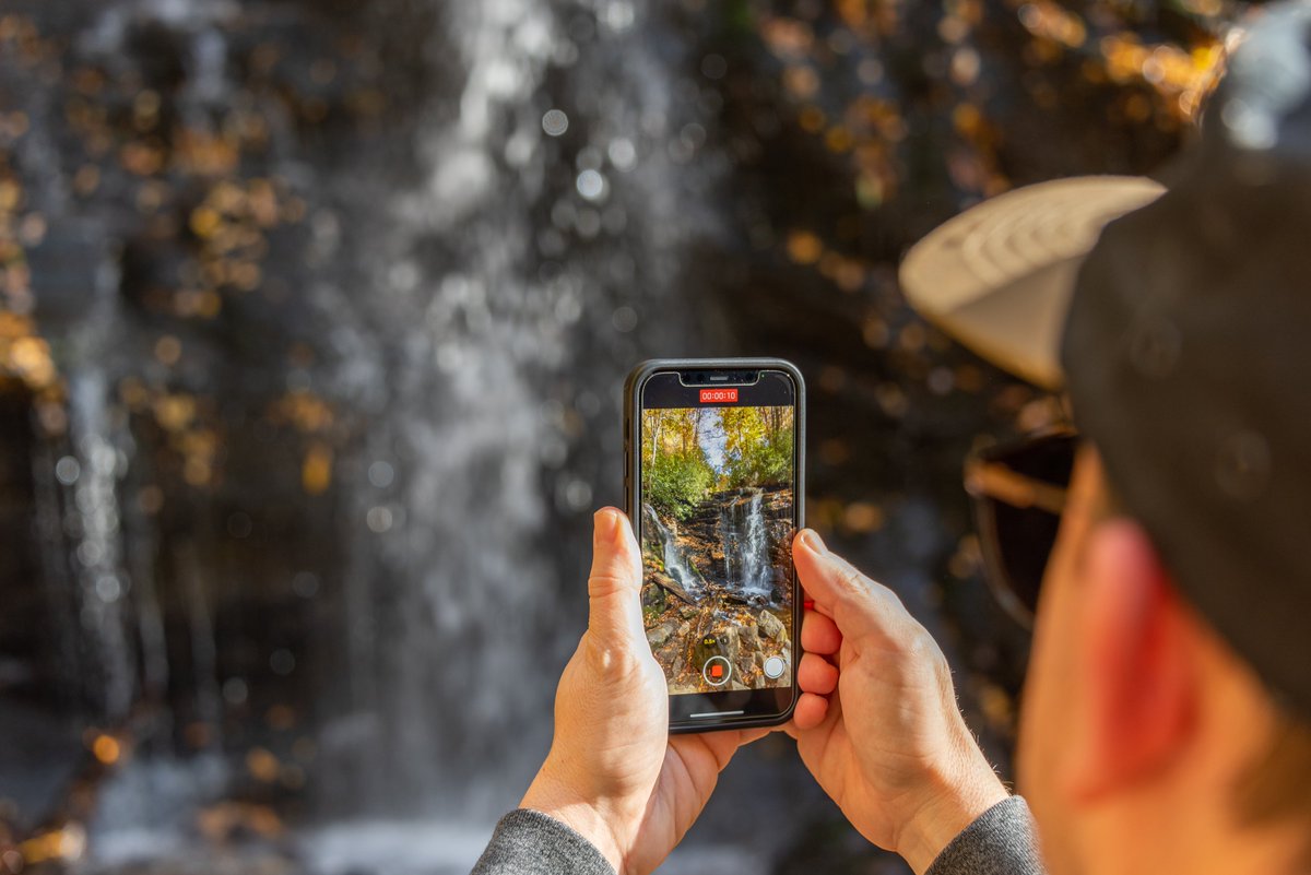 NC Smoky Mountains tweet media