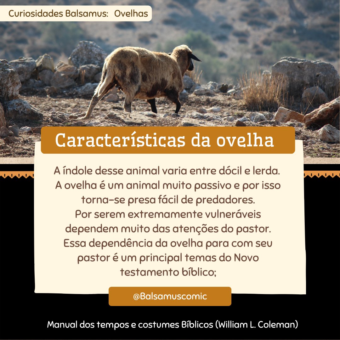 KarolyneRochart's tweet photo. Curiosidades sobre Balsamus e o capítulo introdutório 🐑

#Balsamus #quadrinho #ovelha #sheep #lamb #Awassi https://t.co/mlY8cvcXR1