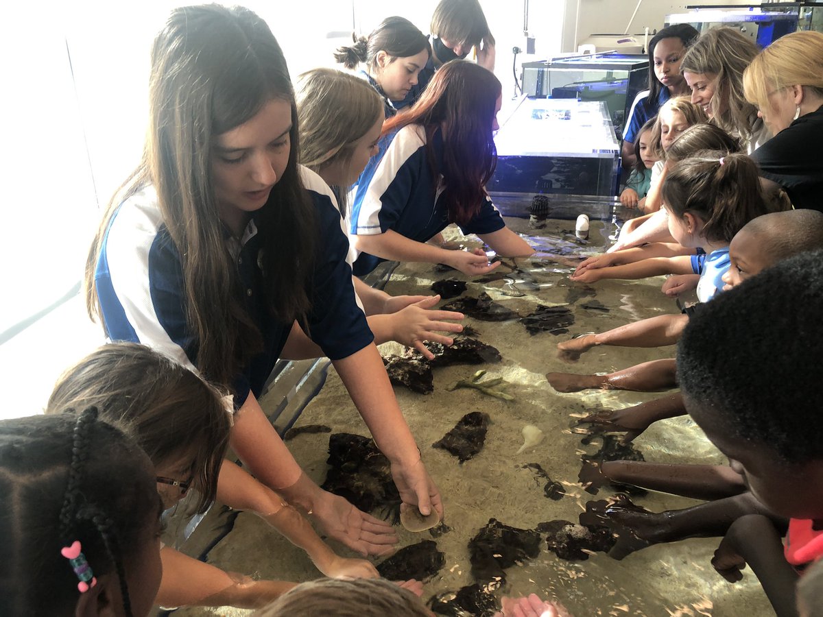 OlatheGeo's tweet photo. Loved having @hnhuskies 2nd grade visit today! Our students had a great time sharing earth science activities with them. @Olathe21st #ONTeach https://t.co/5qiMfoZWsv