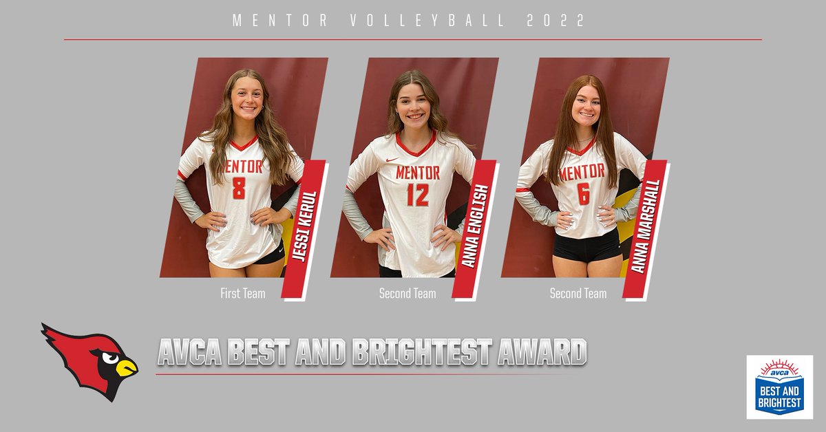Mentor Volleyball tweet media