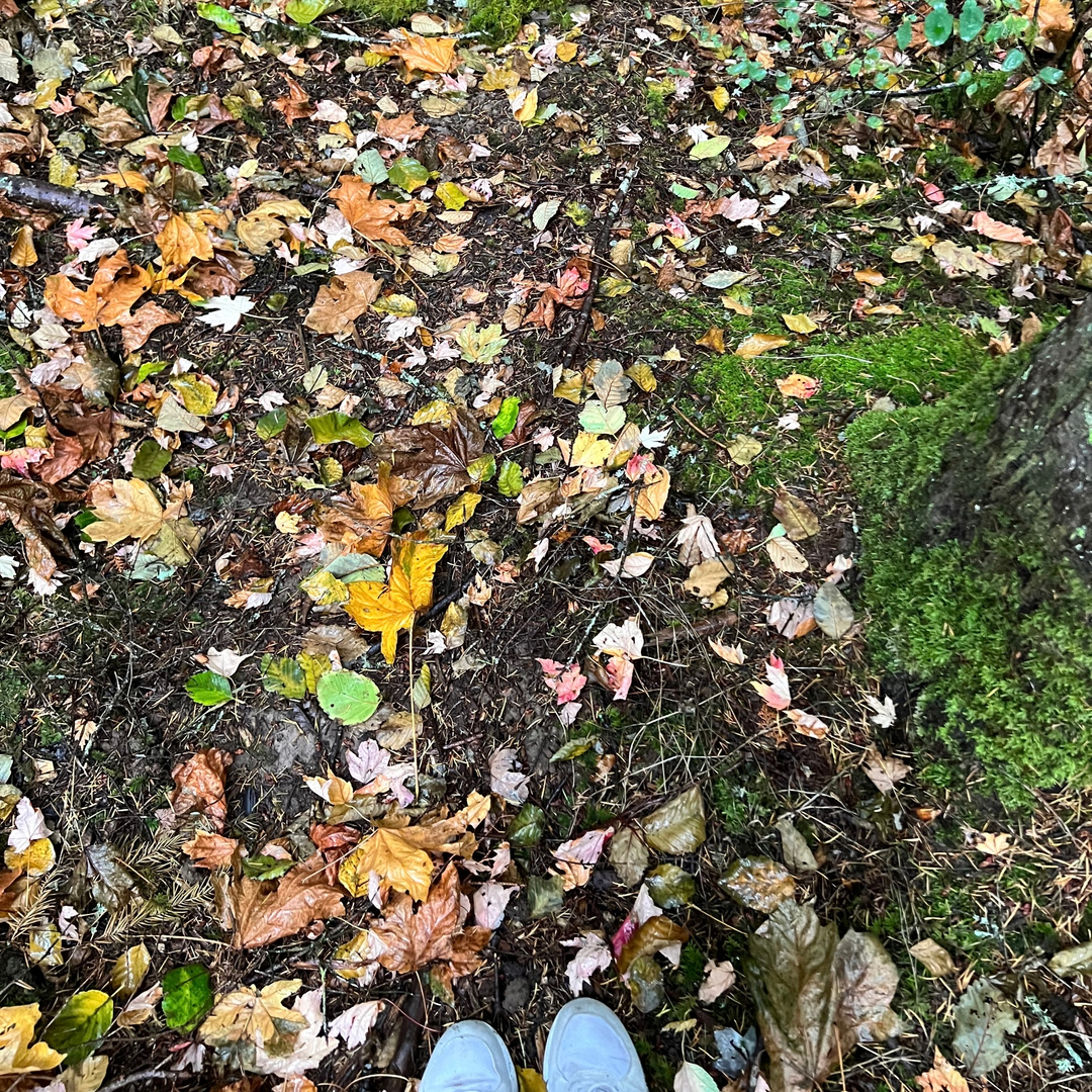 Medium Kareen tweet media