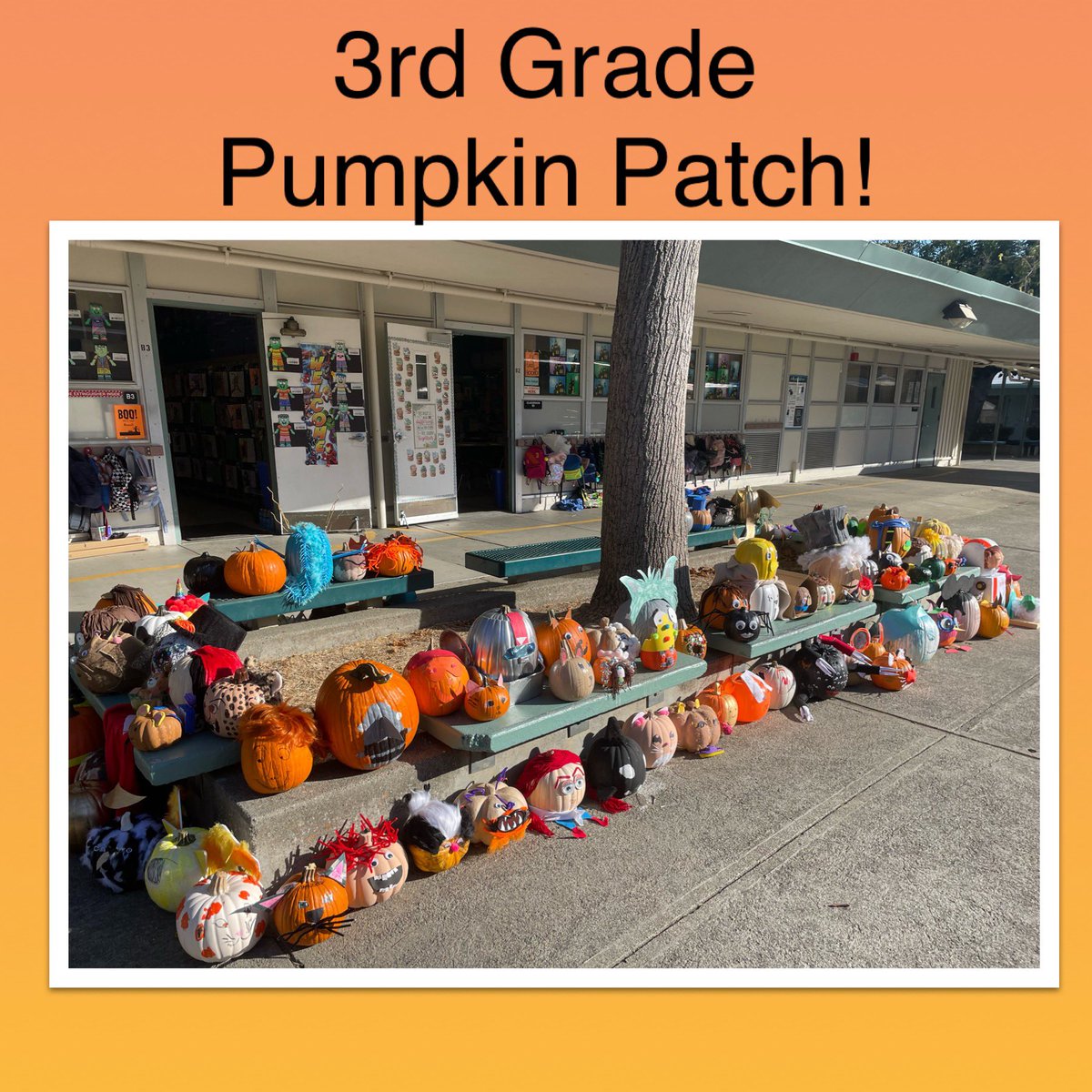 Amanda Graves (@mrsgraves13) on Twitter photo So much fun in 3rd grade today! All month long, ss have been reading chapter books, and then they created a pumpkin based on the main character! <a href="/Walnut_Acres/">Walnut Acres Elem.</a> <a href="/MtDiabloUSD/">MDUSD</a> <a href="/TeacherCatt/">Chrissie Cattalini</a> <a href="/diebel07/">Kaitlyn Diebel</a> <a href="/Grade3withMrsP/">Stephanie Perham</a> So much fun in 3rd grade today! All month long, ss have been reading chapter books, and then they created a pumpkin based on the main character! <a href="/Walnut_Acres/">Walnut Acres Elem.</a> <a href="/MtDiabloUSD/">MDUSD</a> <a href="/TeacherCatt/">Chrissie Cattalini</a> <a href="/diebel07/">Kaitlyn Diebel</a> <a href="/Grade3withMrsP/">Stephanie Perham</a>