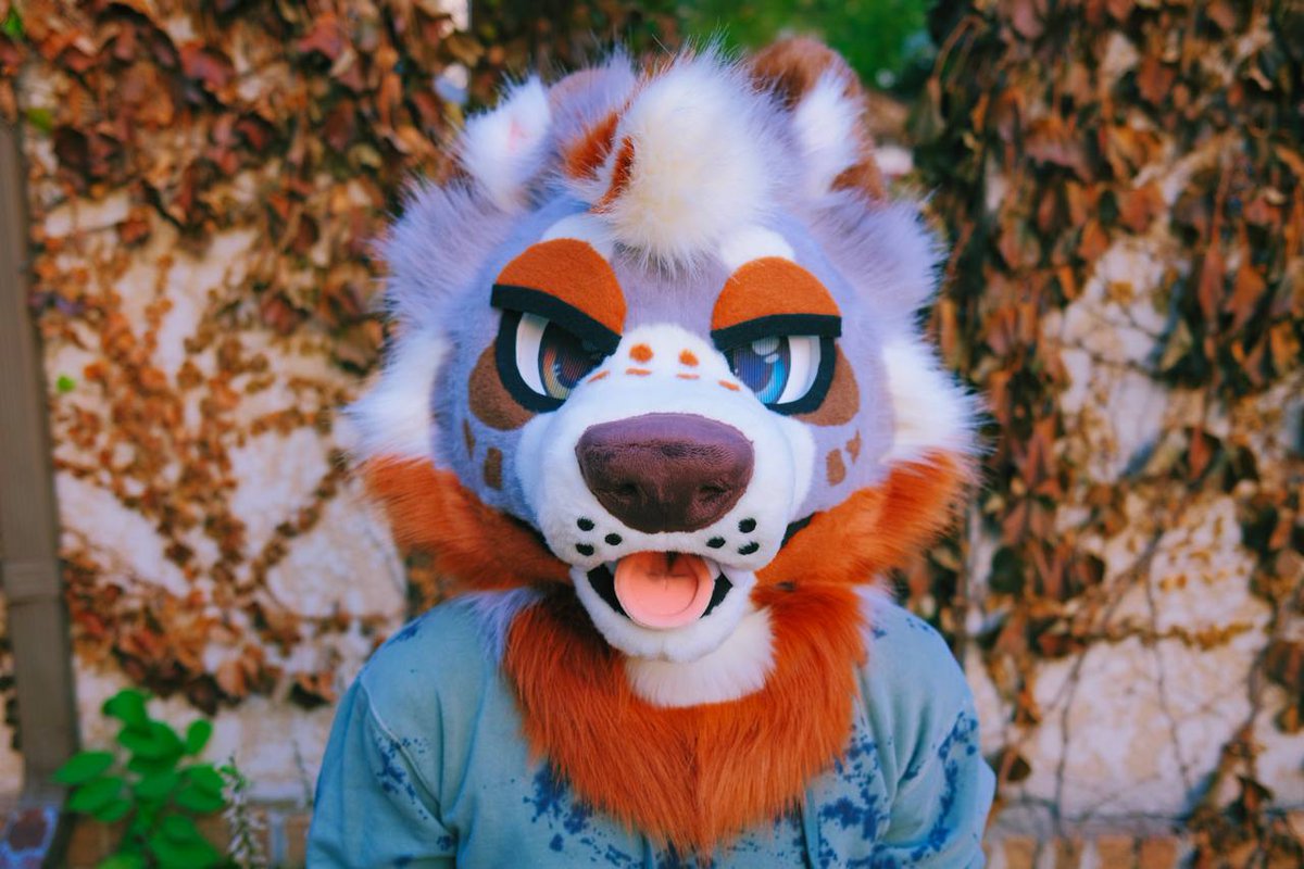 gnaws's tweet photo. Have you ever dreamed of being the cutest puppy on the block? Well, here's your chance! 🐶🍂

https://t.co/pjqBB1TQfM
^ Click the link above for more details ^

DMs are open for additional photos and information!
RTs + Likes are appreciated, as always 💙 https://t.co/LvZdGxzrC2