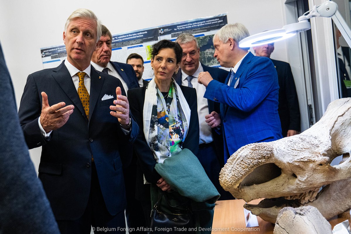 Wallonia Export & Investment Agency tweet media