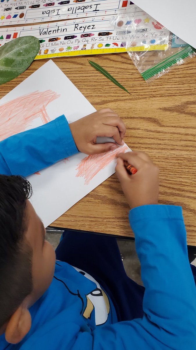 Buffalo_Creek1's tweet photo. Ms. Rojas' kindergarteners made imprints for their lesson on leaves. We love the integration of art during science time! https://t.co/Hj9P5jATXY