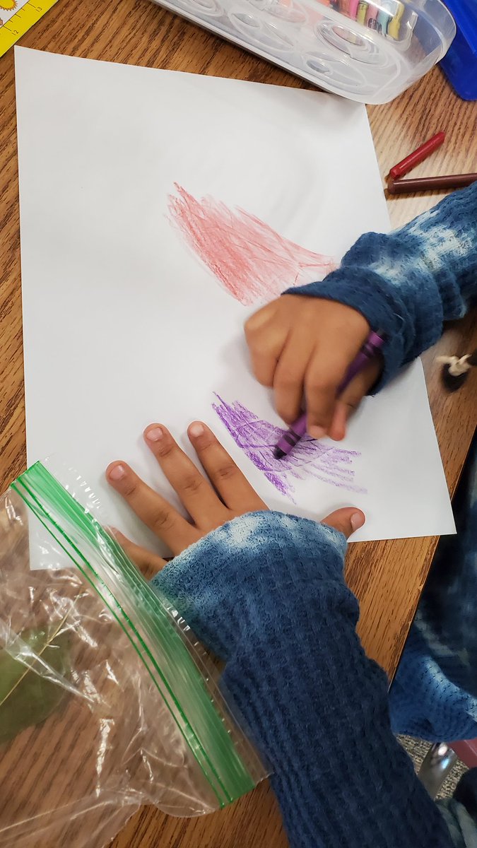 Buffalo_Creek1's tweet photo. Ms. Rojas' kindergarteners made imprints for their lesson on leaves. We love the integration of art during science time! https://t.co/Hj9P5jATXY