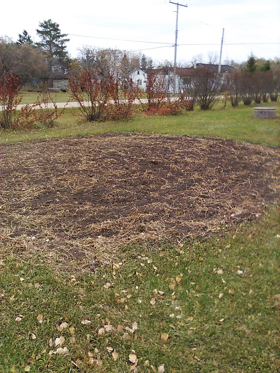 Wally Satzewich tweet media