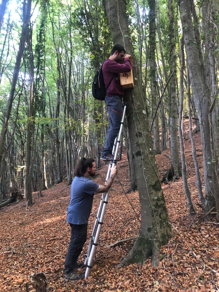 ProjecteLiro's tweet image. Ja s&apos;ha acabat el període de mostreig d&apos;aquest any del #ProjecteLiro i volem agrair a tothom la feina feta! Esperem que hagin anat bé les revisions i no oblideu penjar les vostres dades👉 lirons.org

Aviat us informarem de com ha anat la campanya🐭💤

📷: Nil Macià