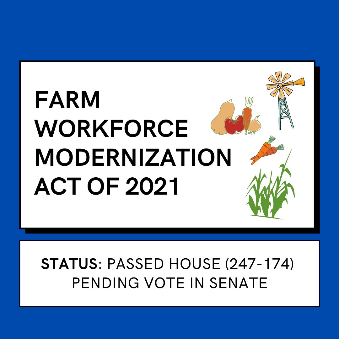 abarafrontiers's tweet photo. The Farm Workforce Modernization Act of 2021. 

Swipe through to read a summary, as well as quotes in favor and in opposition. Additionally, you can scan the QR codes to see how your representatives voted and read the Bill for yourself!

#ElectionSeason #November8 #vote https://t.co/nSdtYiusjG