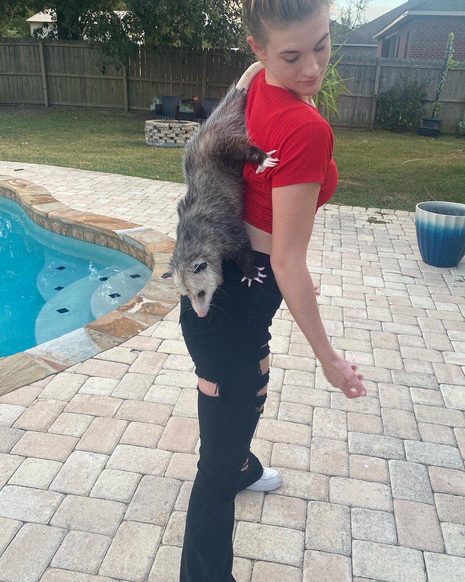 I love Henry!! 🤍 And he loves me!!

#possum #music #musician #downtime #haileygreen #homesweethome #timeflies #lovelife